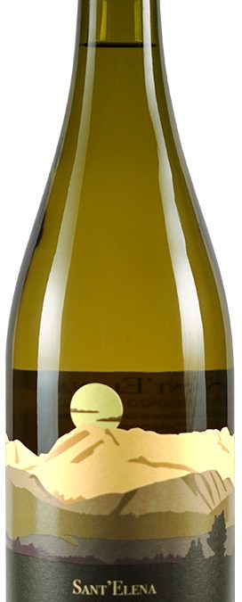 Chardonnay
