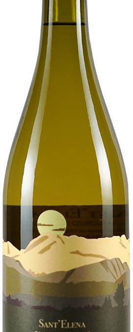 Sauvignon Blanc