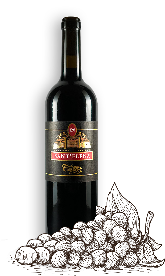 Sant'Elena - italian wines - Tato red wine